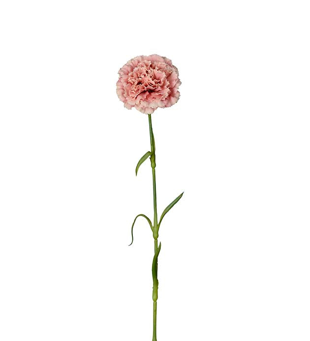 Nellike 44 cm lys rosa