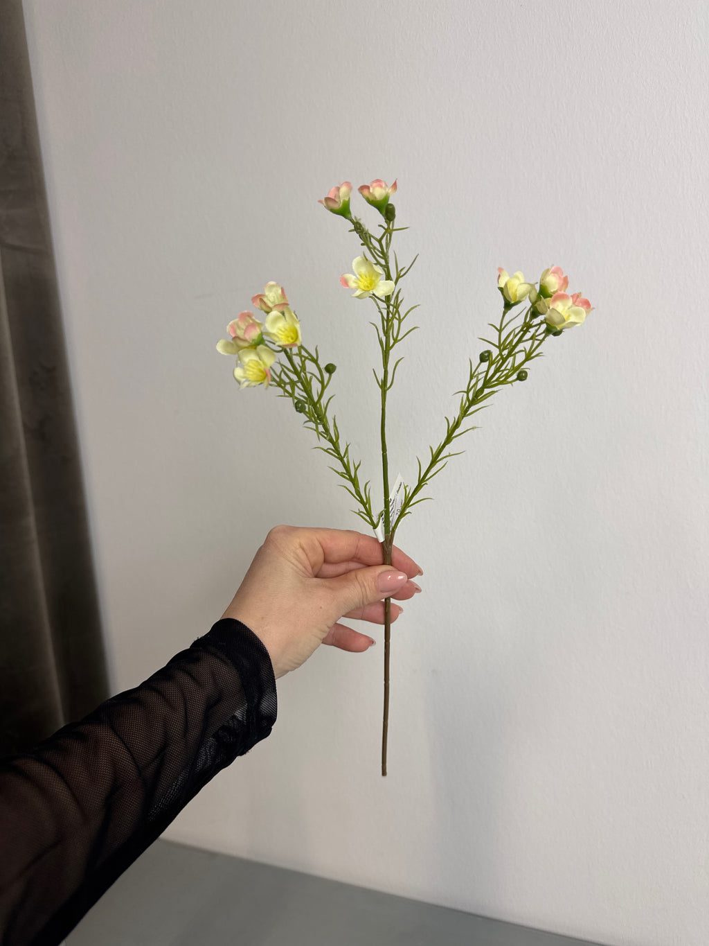 Lille voksblomst gul