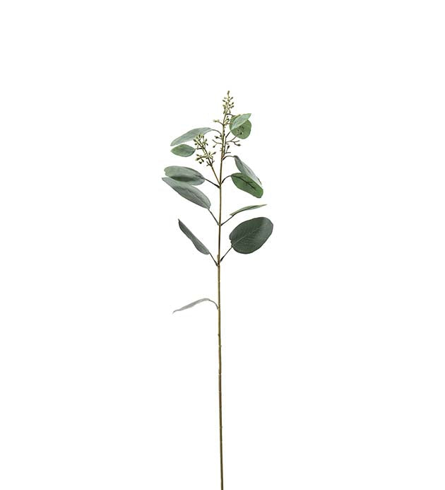 Eucalyptus 87 cm grøn