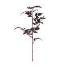 Silveraxkvist burgundy 50 cm