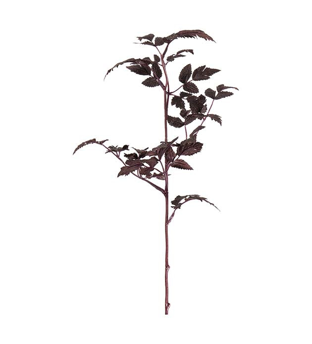 Silveraxkvist burgundy 50 cm