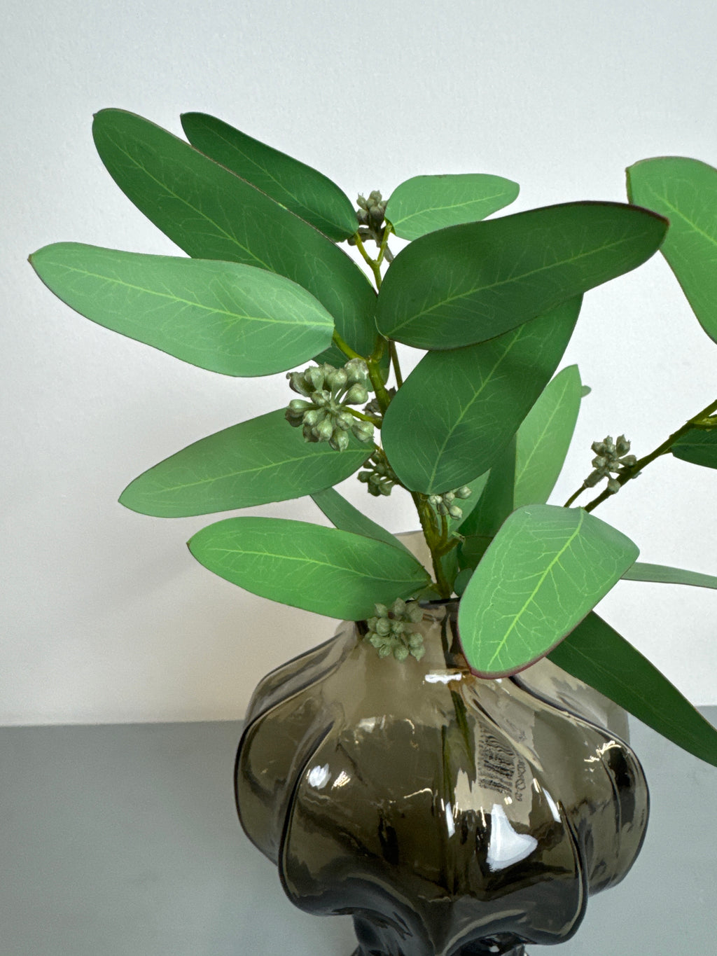 Lille bær eucalyptus