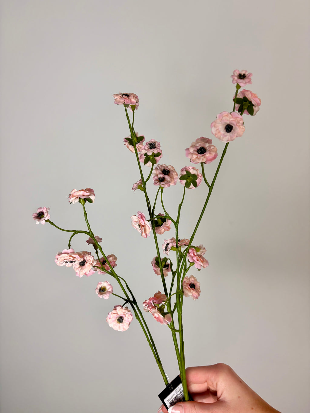 Gren blomst lyserød