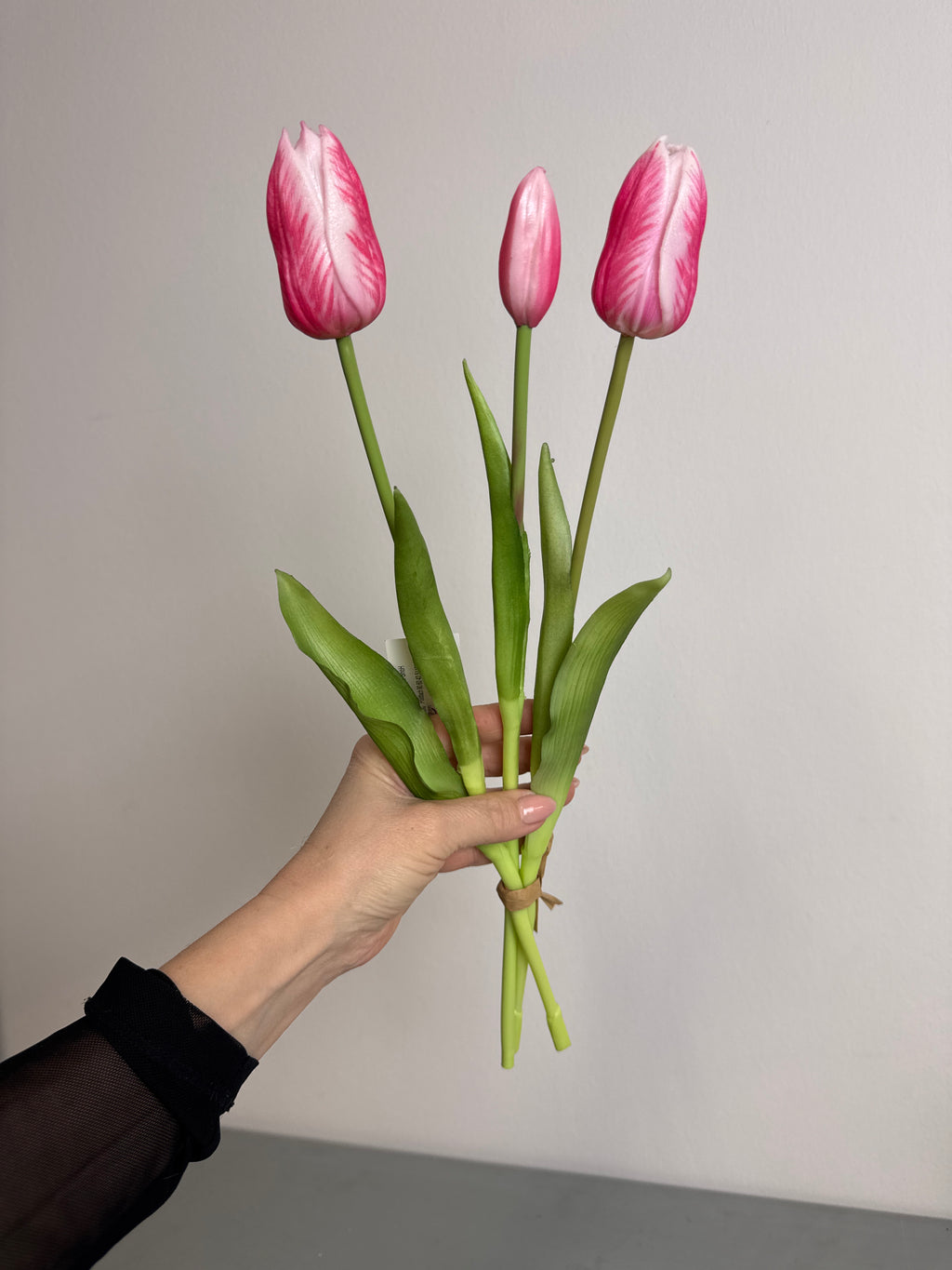 Tulipaner pink