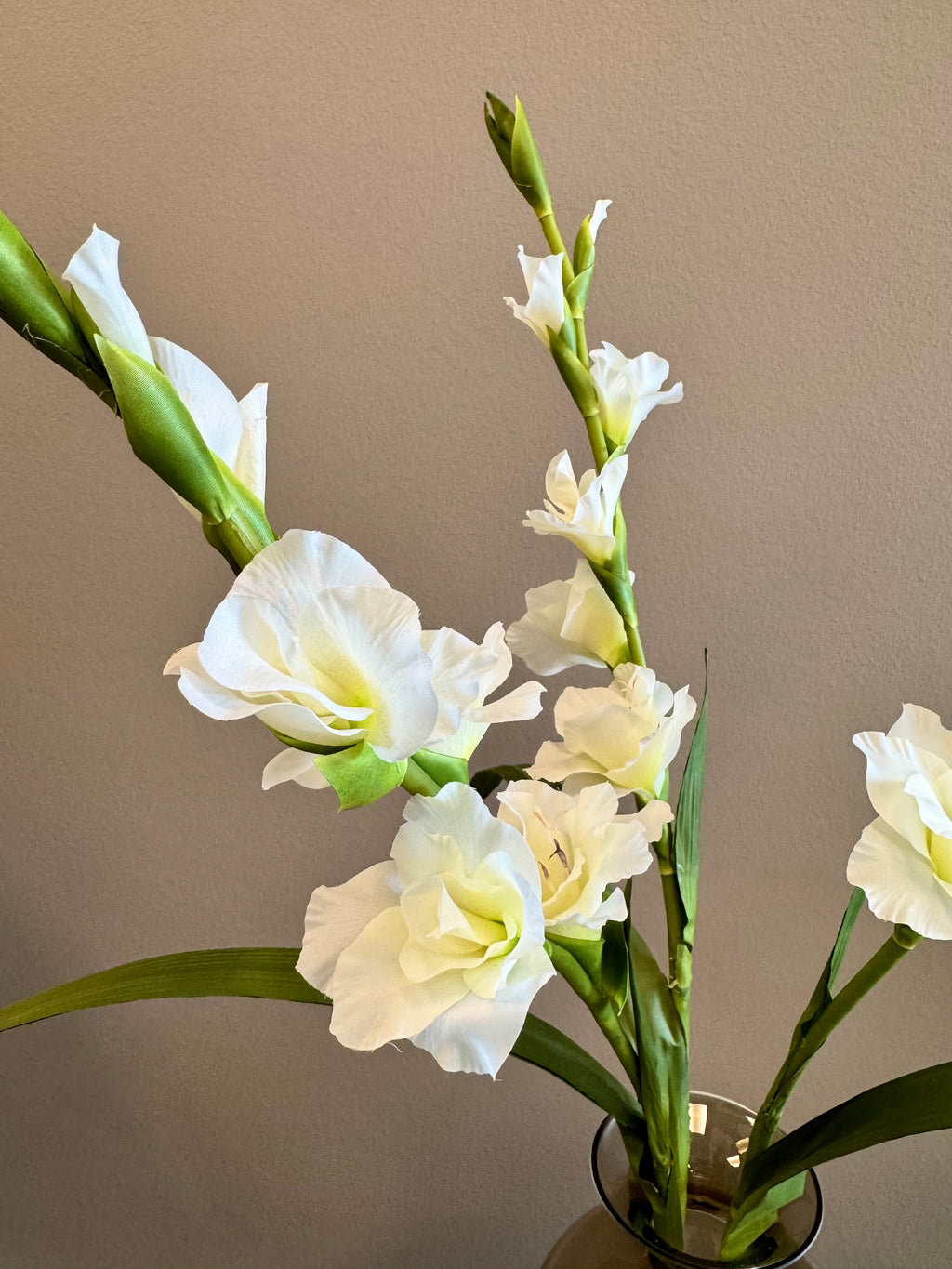 3 stilke hvide gladiolus