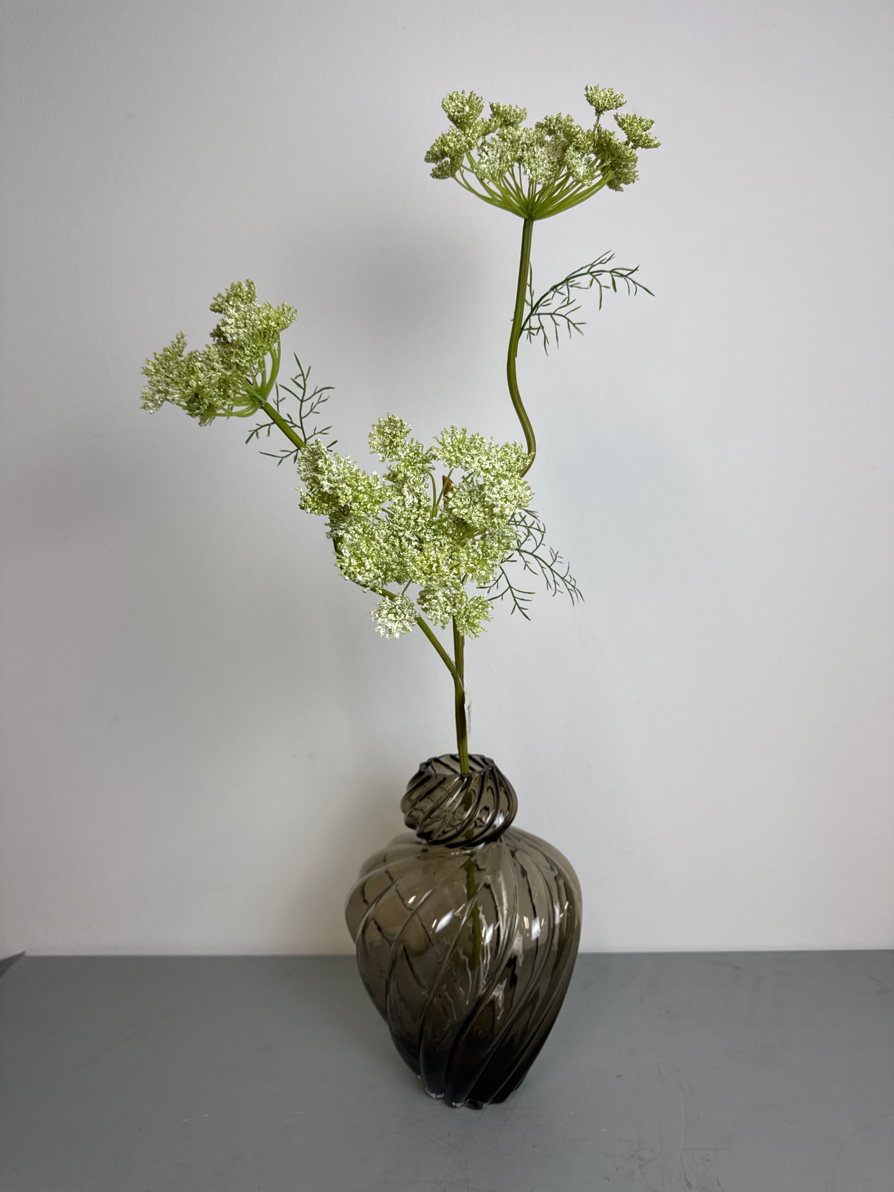 Stor hvid skærmblomst