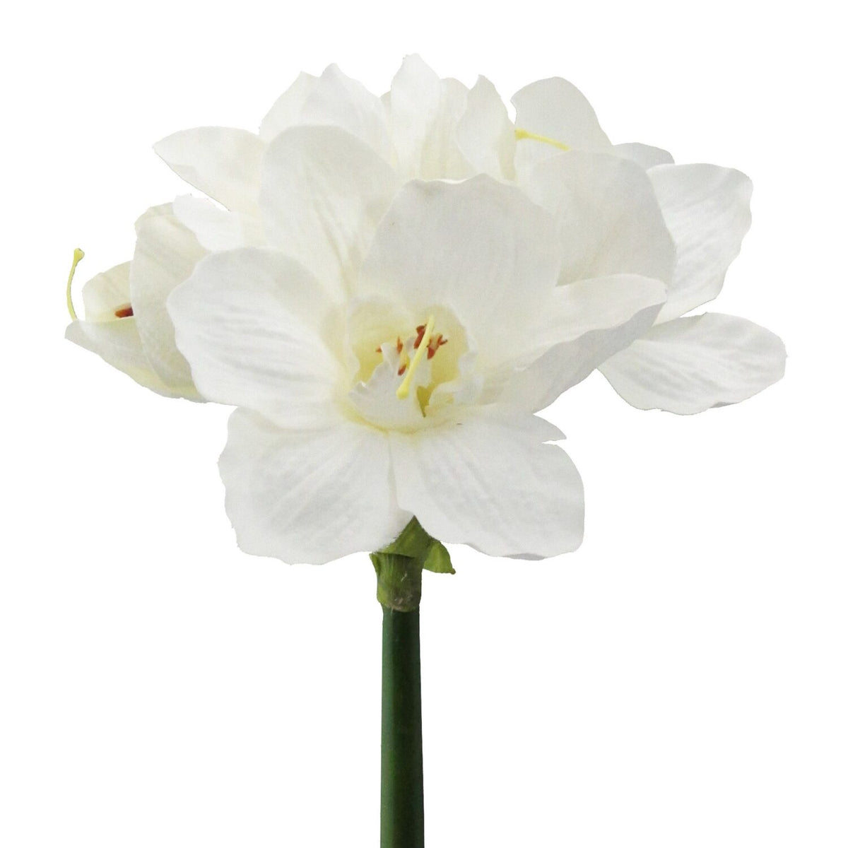 Amaryllis hvid real touch h 68 cm