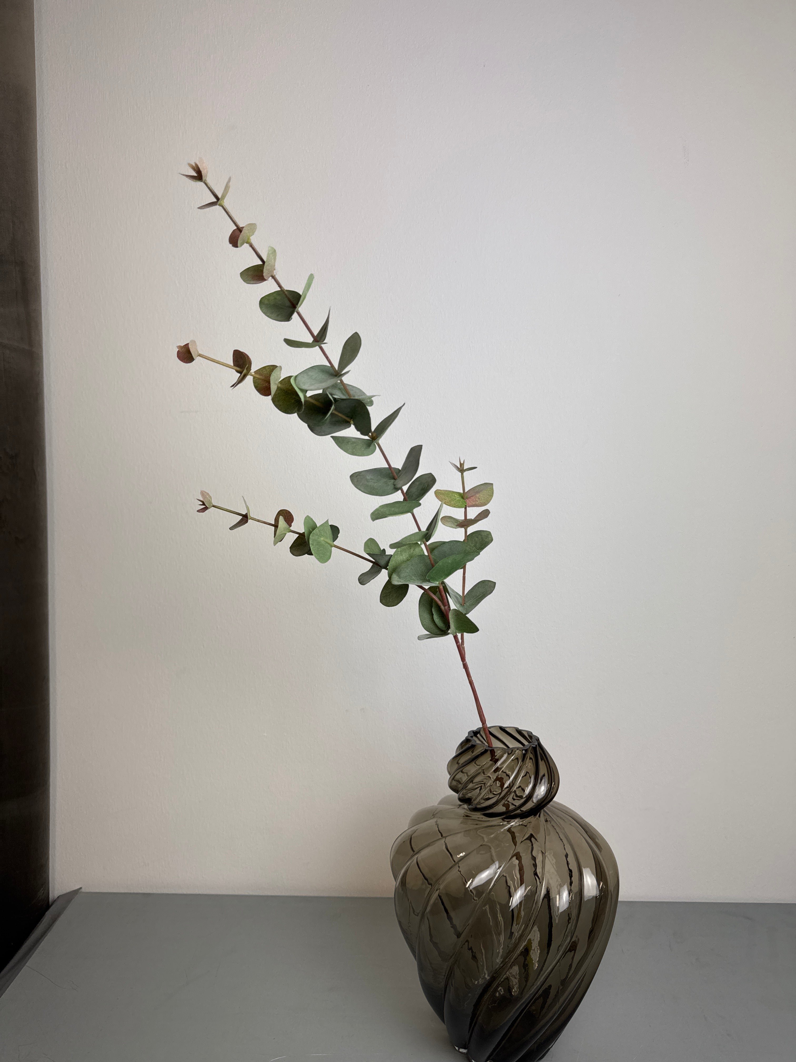 Eucalyptus grøn/rød udgår