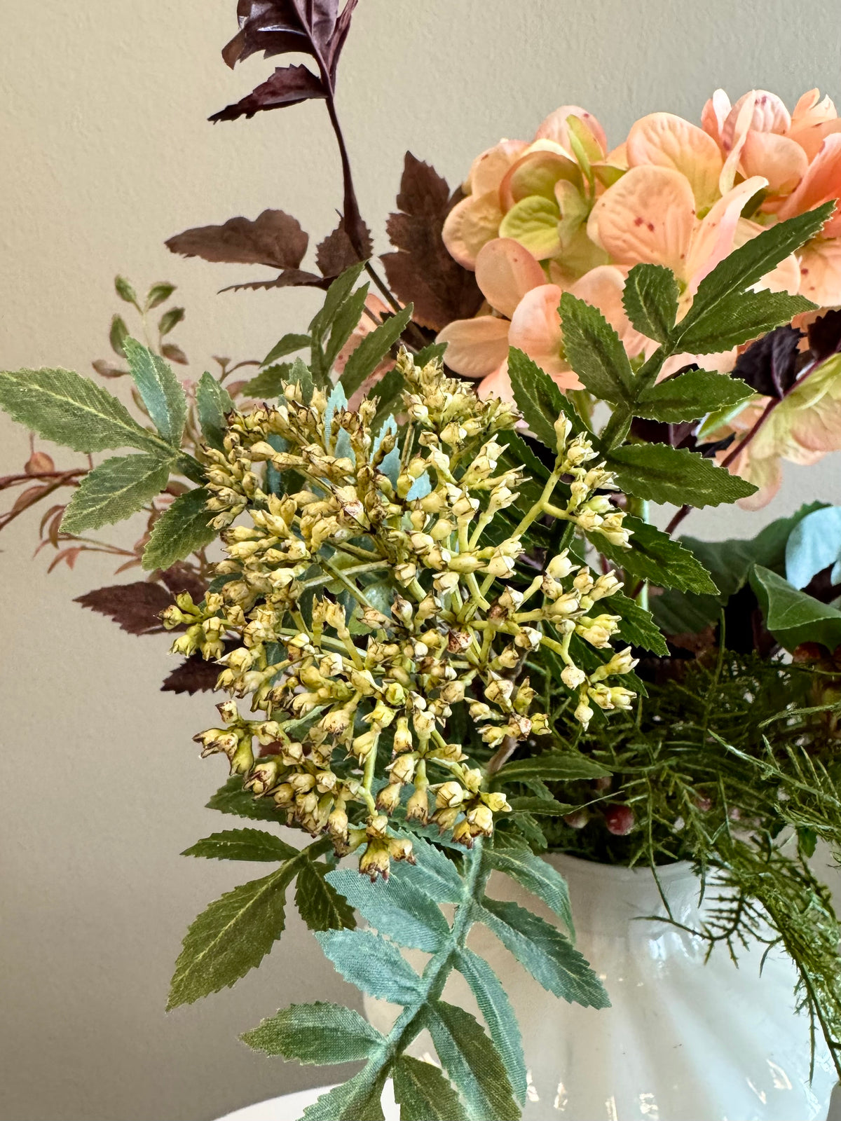 Peach Hortensia drøm