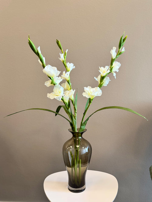 3 stilke hvide gladiolus