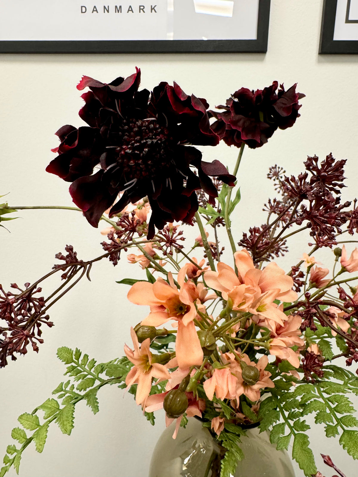 Efterår Scabiose høj