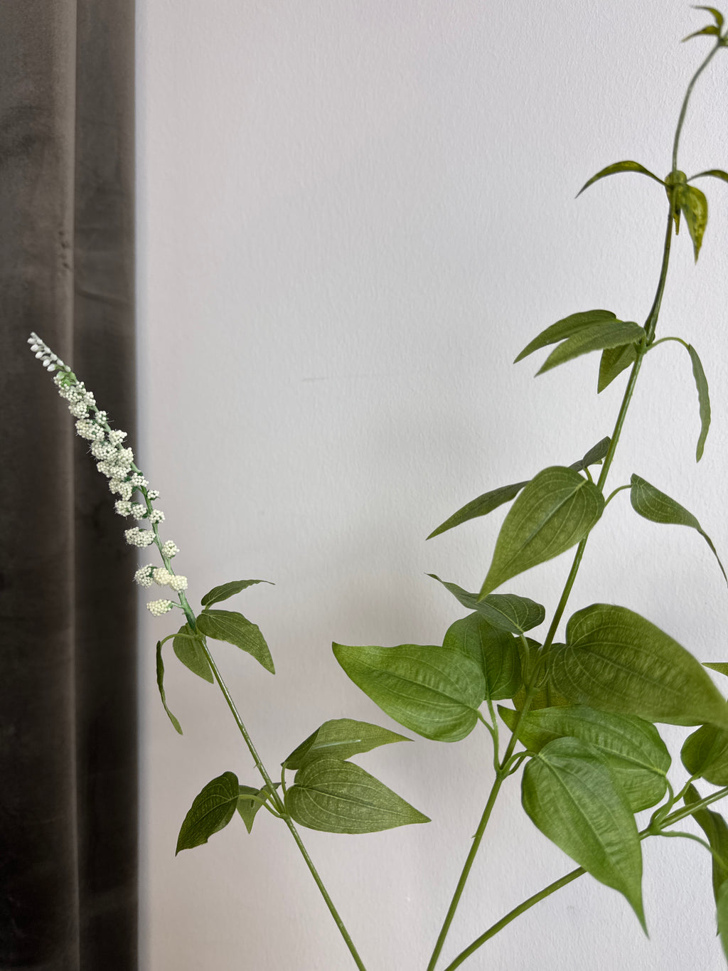 Hvid blomsterstilk m. Blad