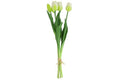 Tulipaner i bundt m/ 5 stk Hvid h 41 cm