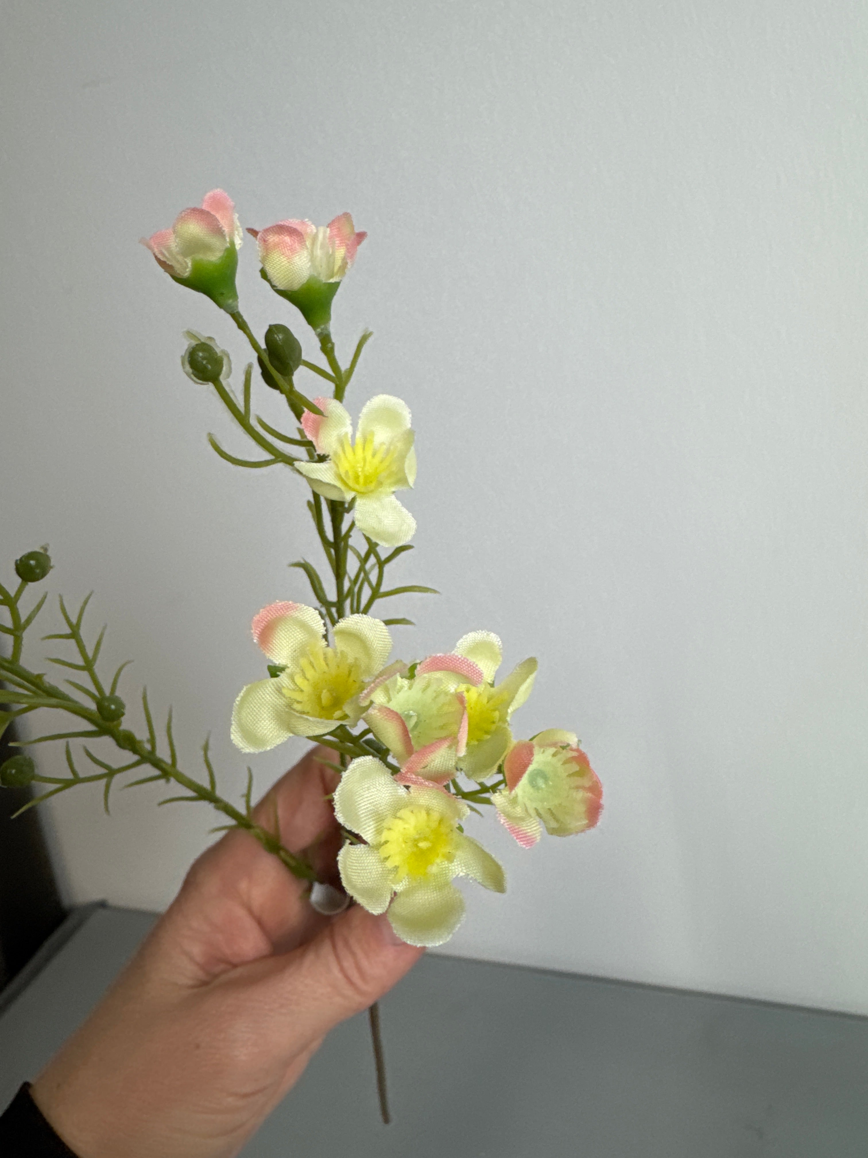 Lille voksblomst gul