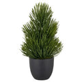Fyrretræ i potte. H 25 cm