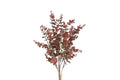 Eucalyptus buket lys bordeaux h 53 cm