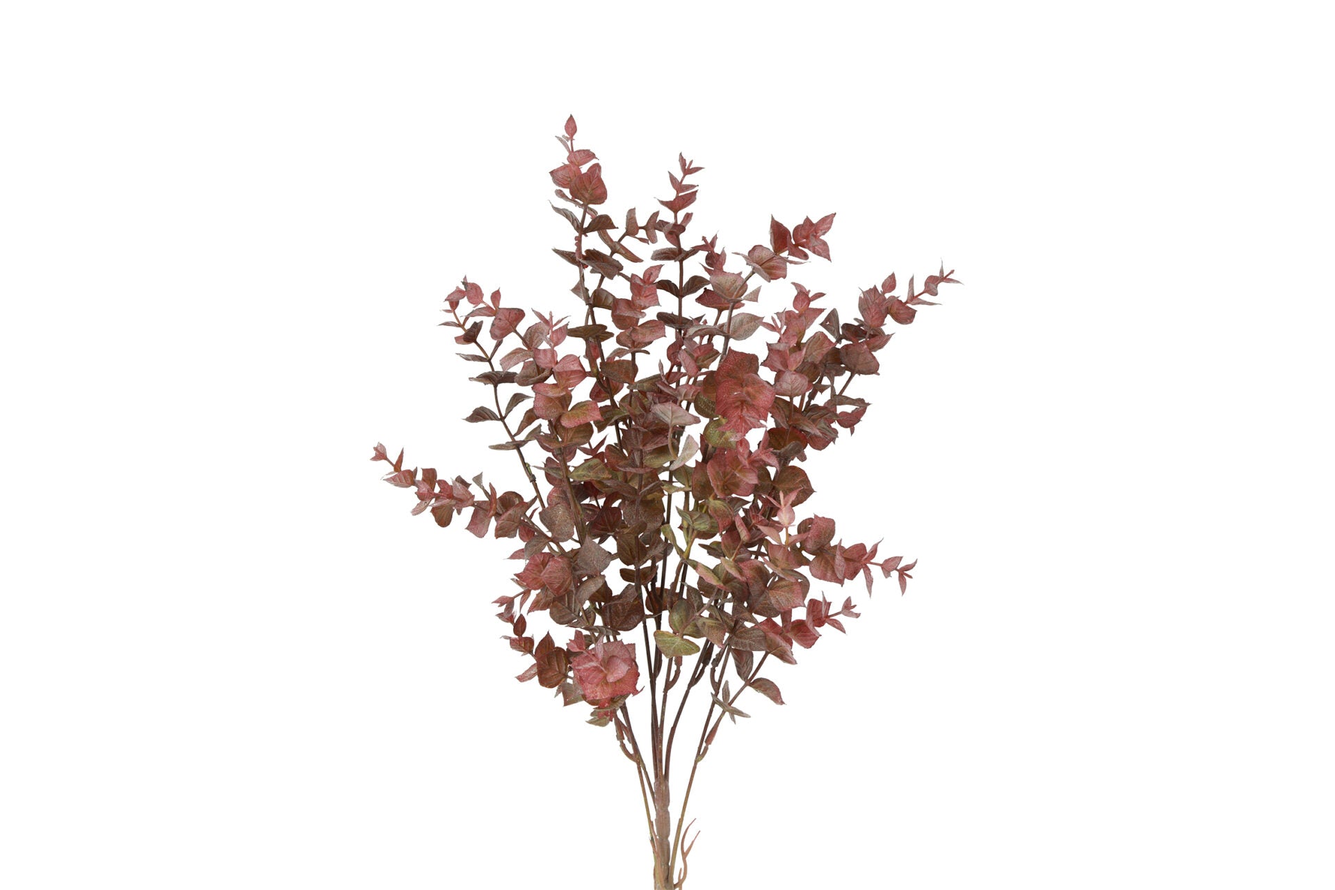 Eucalyptus buket lys bordeaux h 53 cm