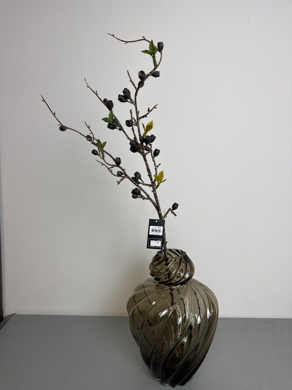 Eucalyptus med bær sort