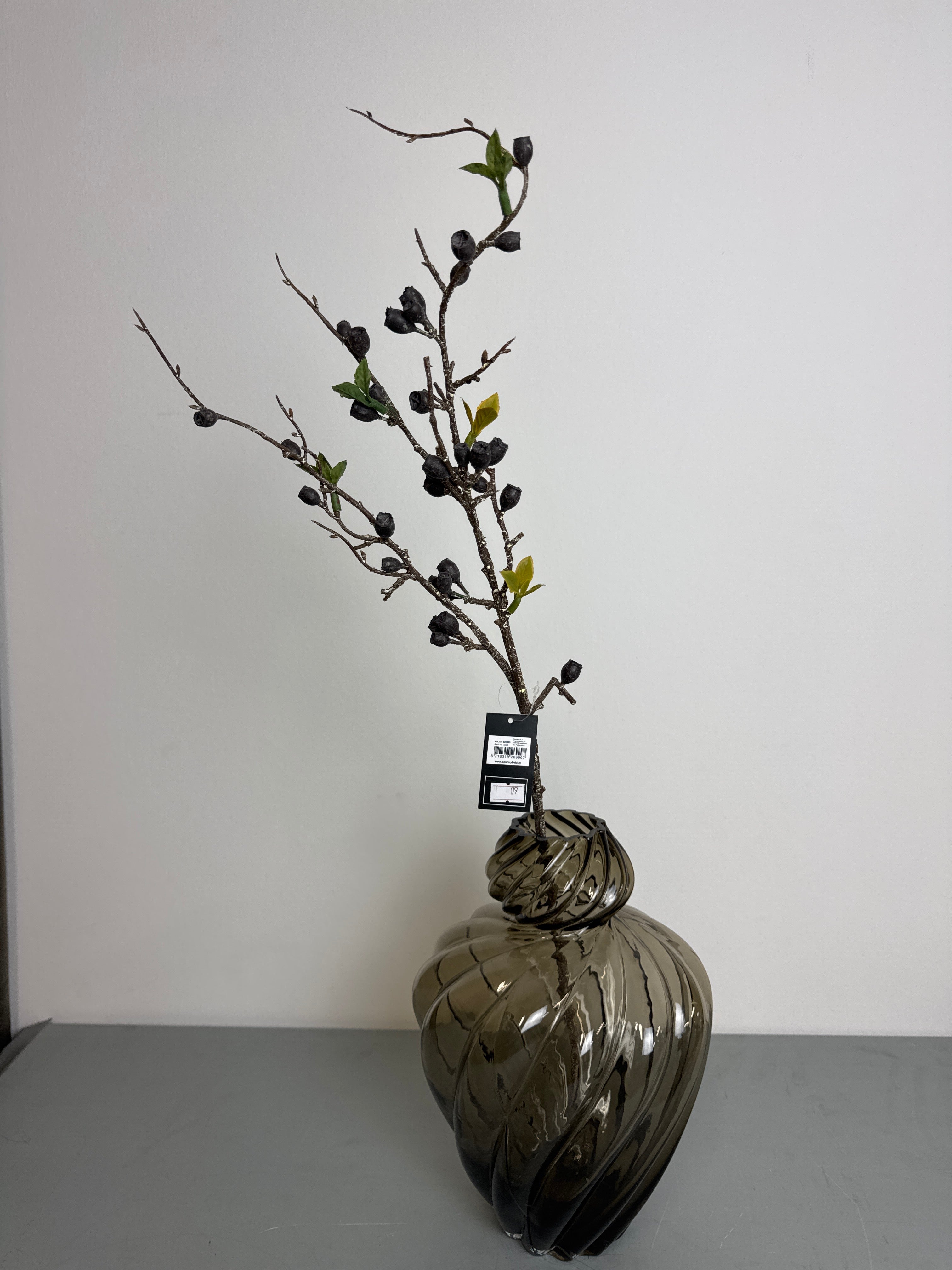 Eucalyptus med bær sort