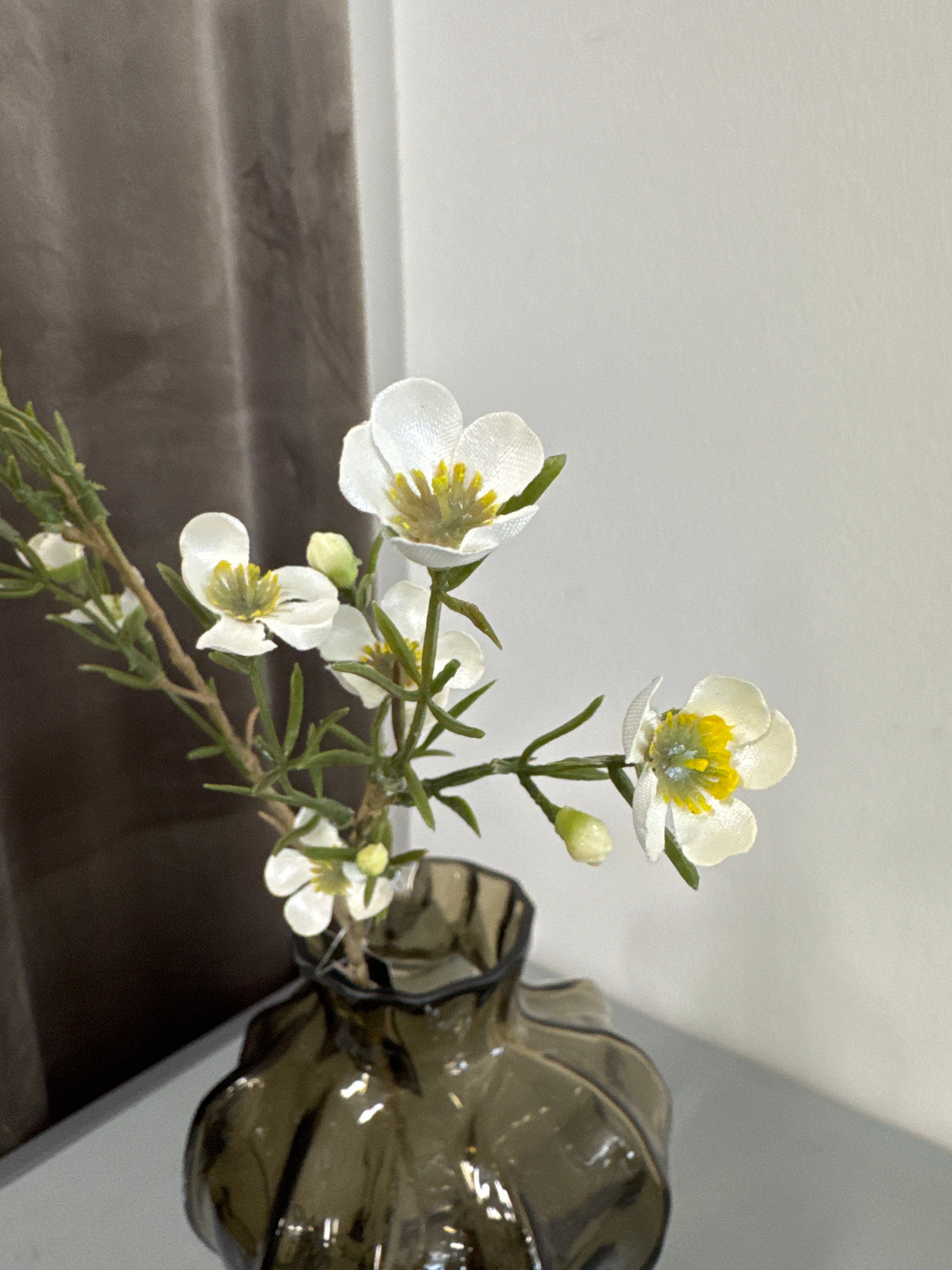 Voksblomst hvid