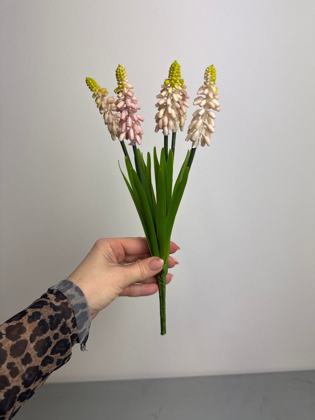 Perlehyacint lyserød