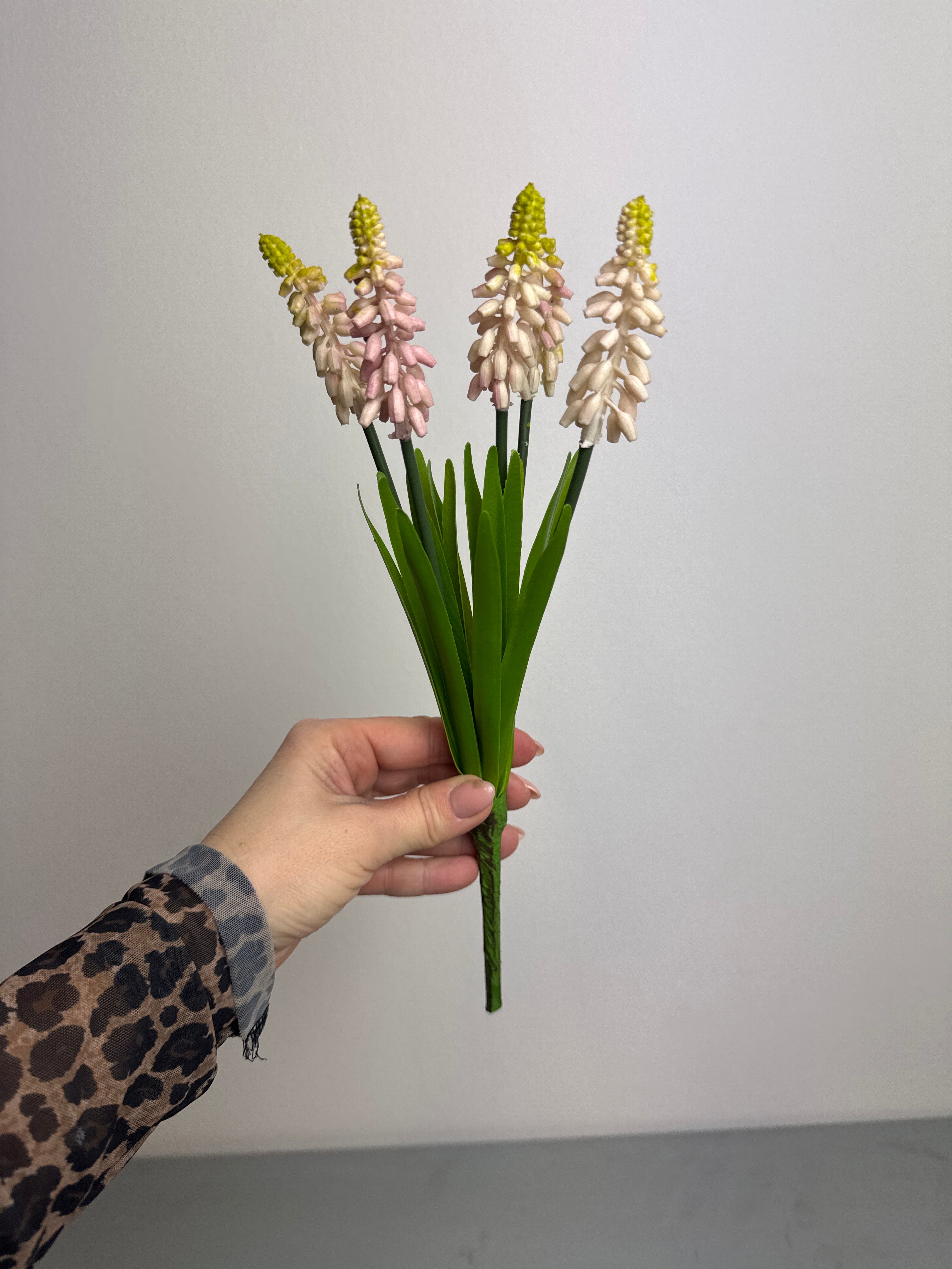 Perlehyacint lyserød