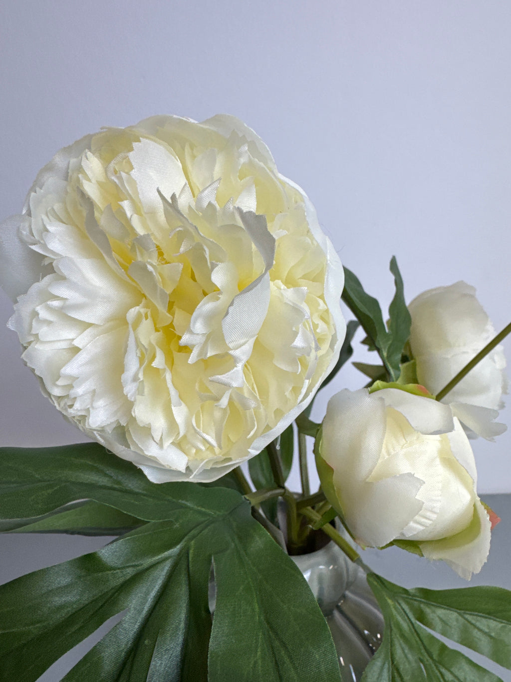 Pæon stilk 40 cm hvid