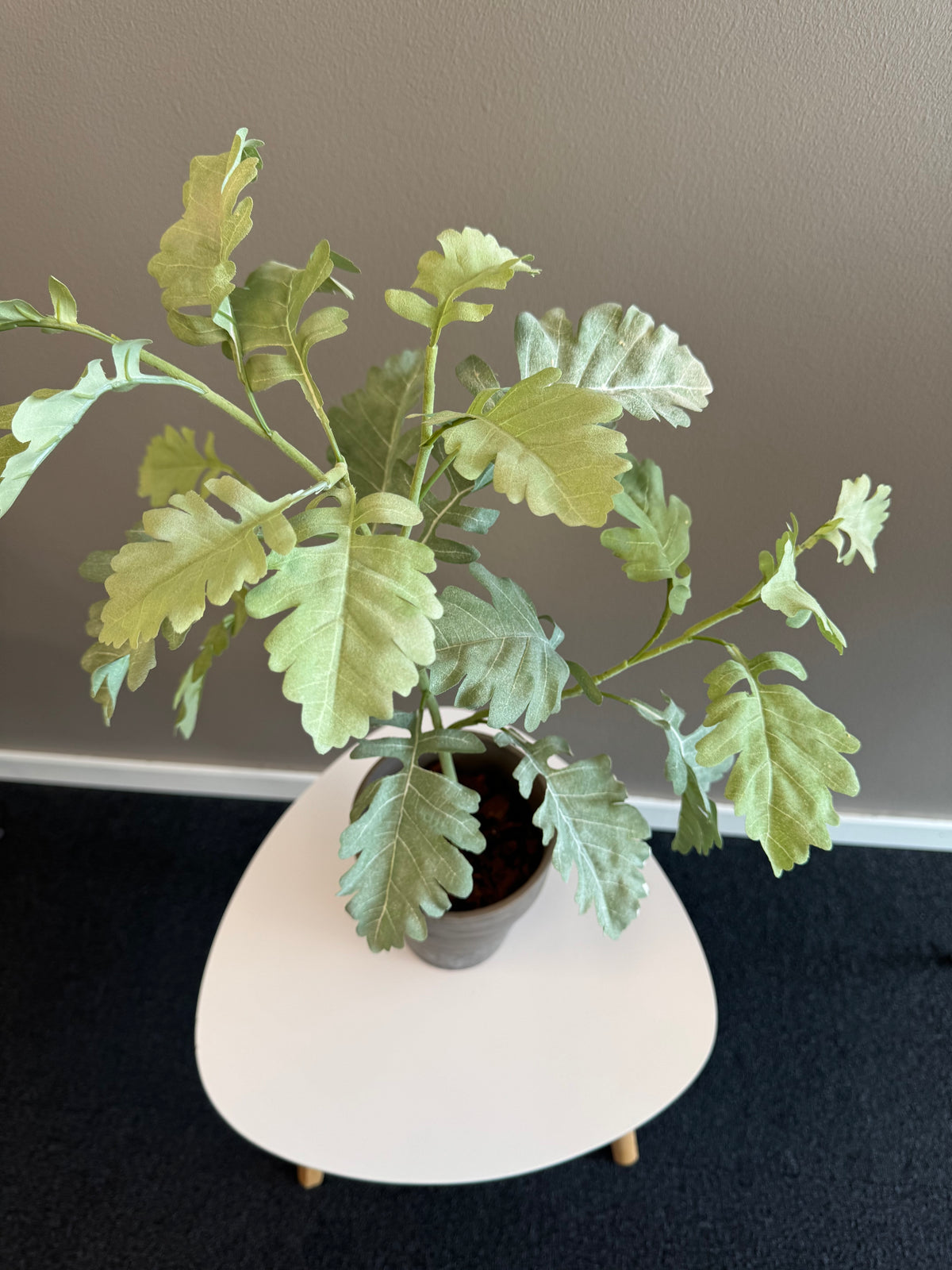 Silverek 70 cm