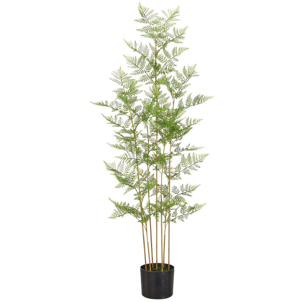 Bregne i potte h 120 cm
