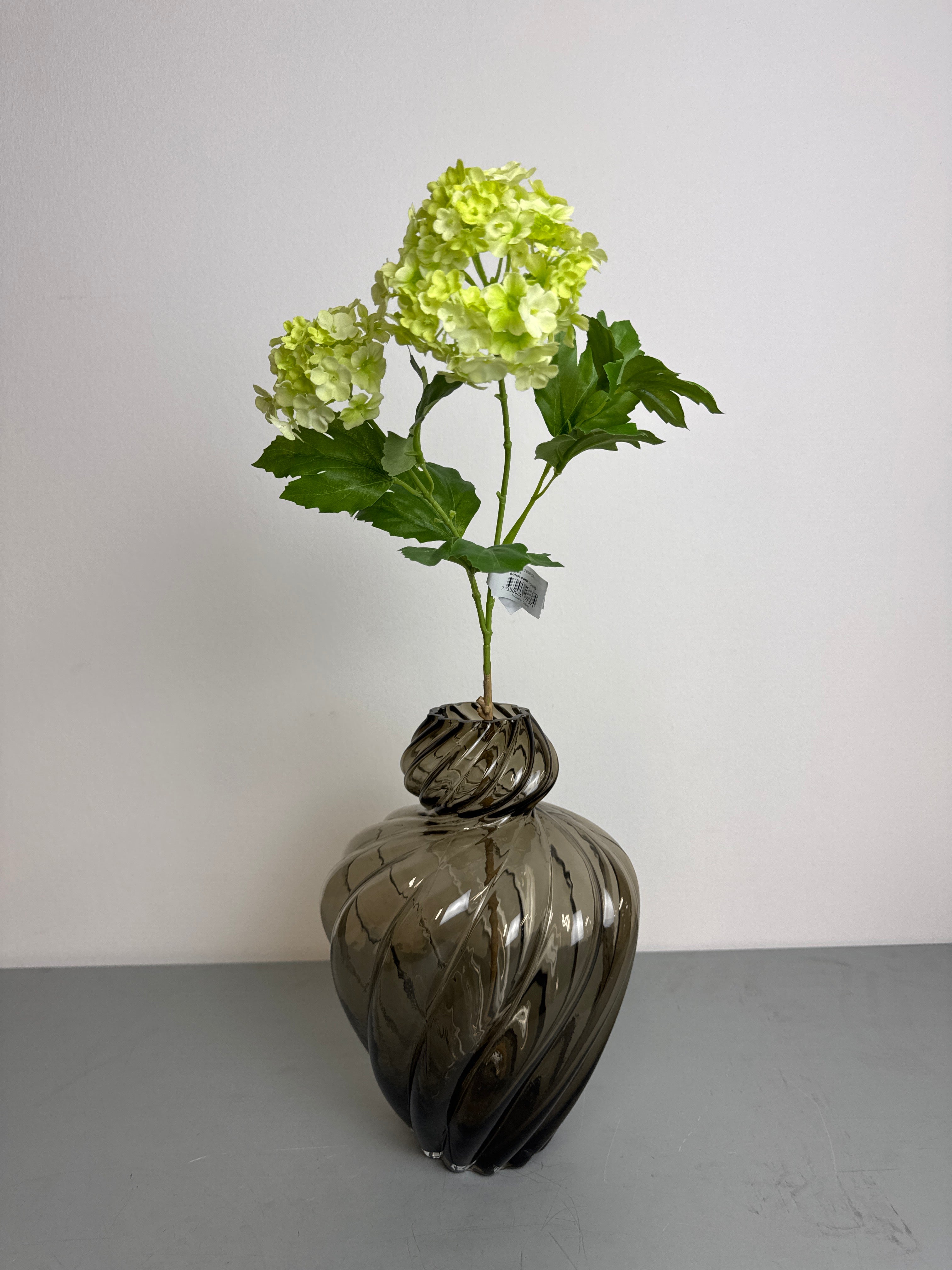 Lille grøn hortensia gren