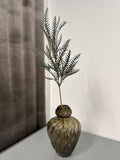 Grevillea stor