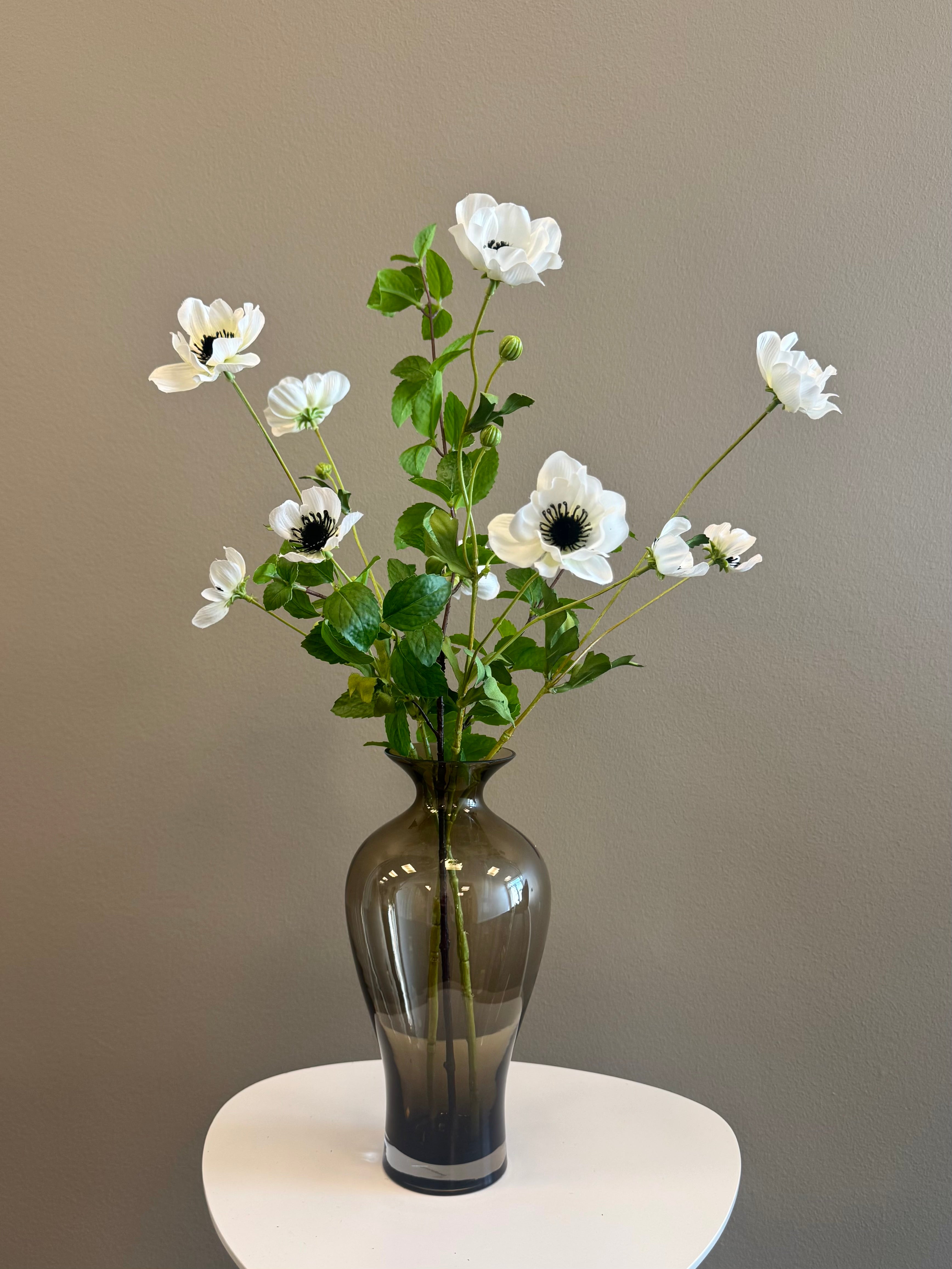 Anemone mix hvid