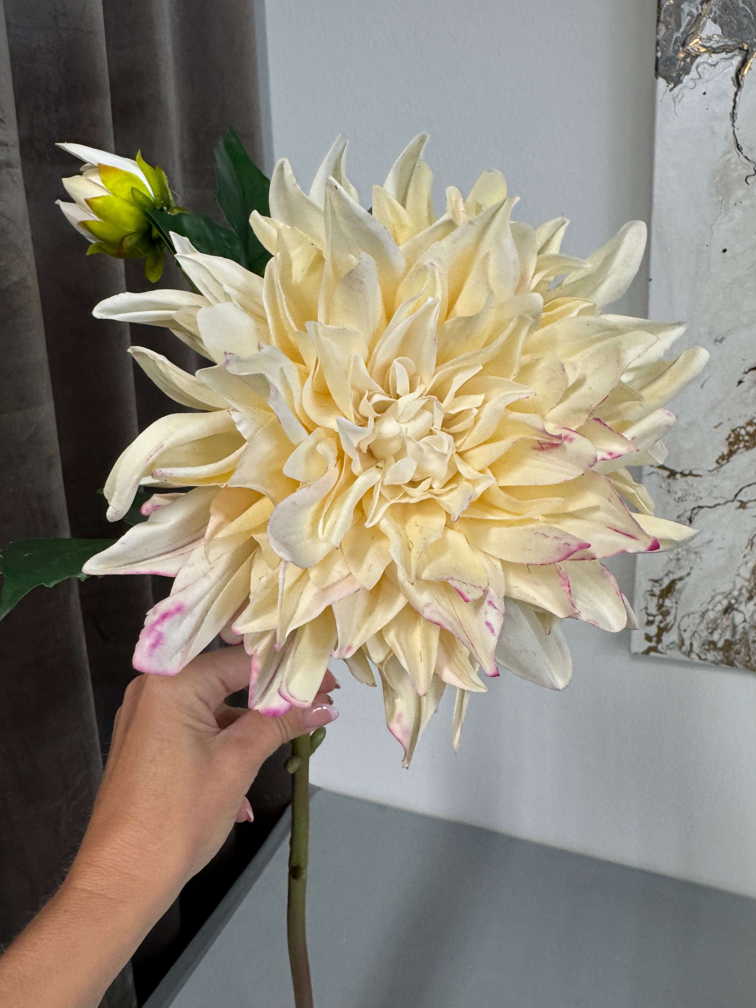Dahlia med fejl