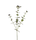 Eucalyptus med bær 72 cm