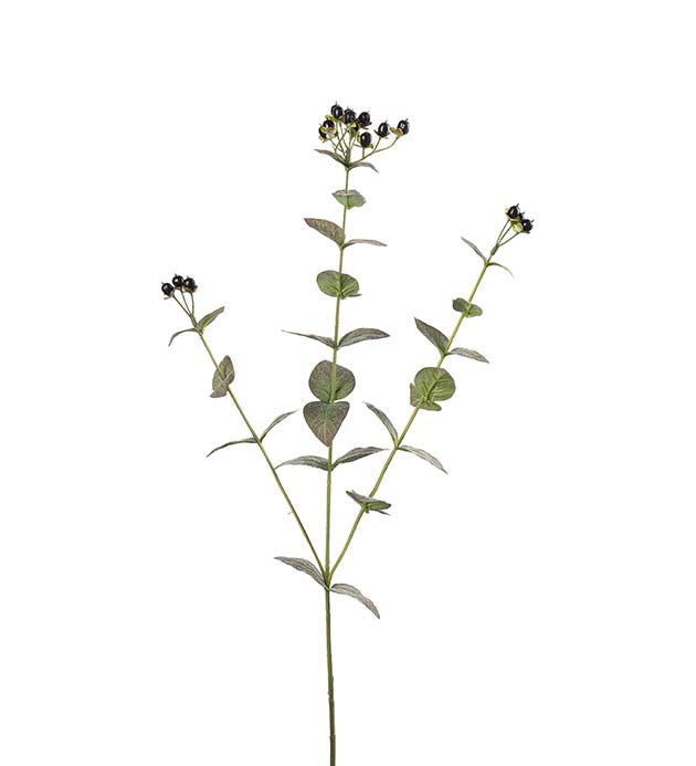 Eucalyptus med bær 72 cm