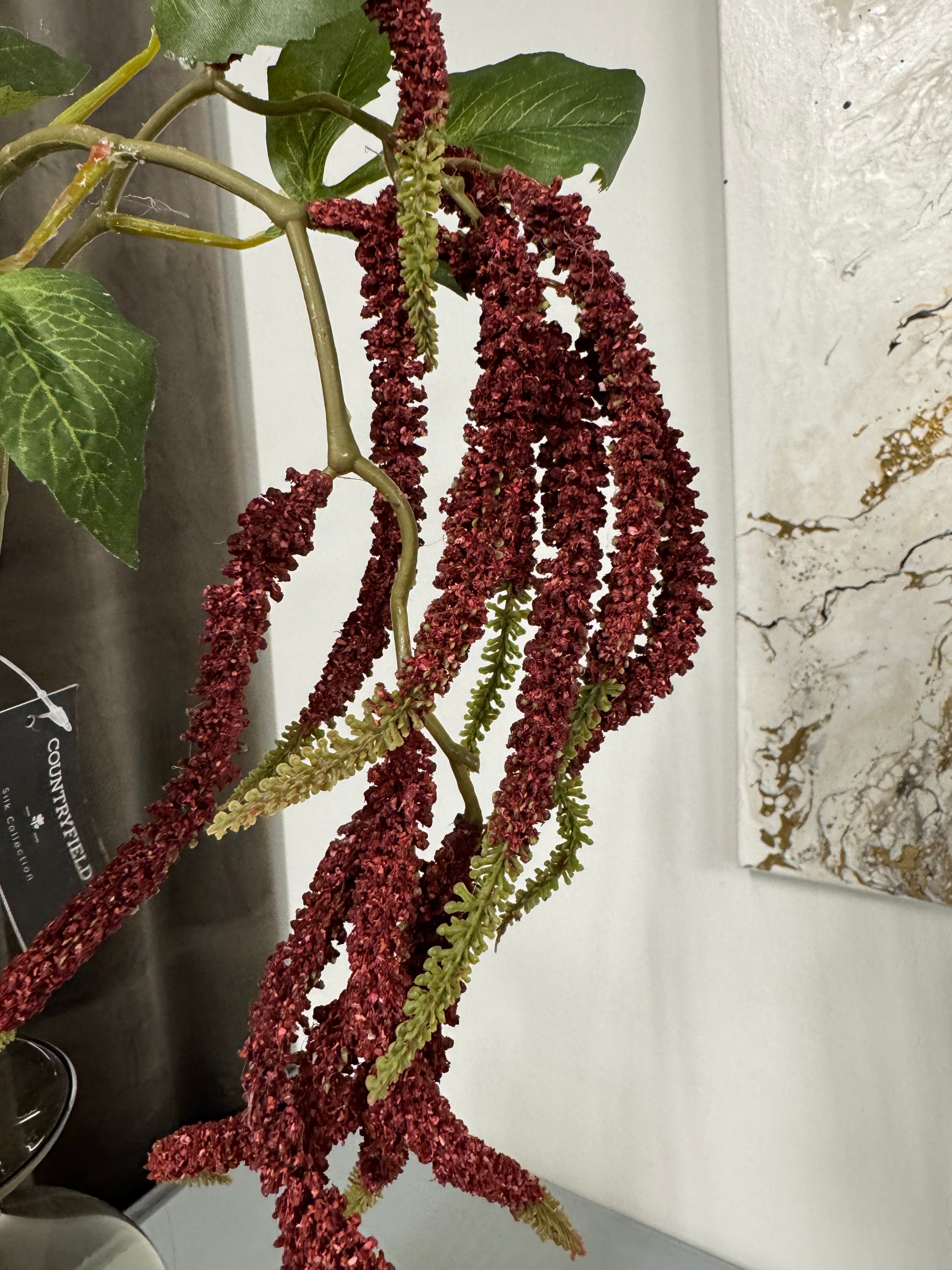 Amaranthus mørk rød