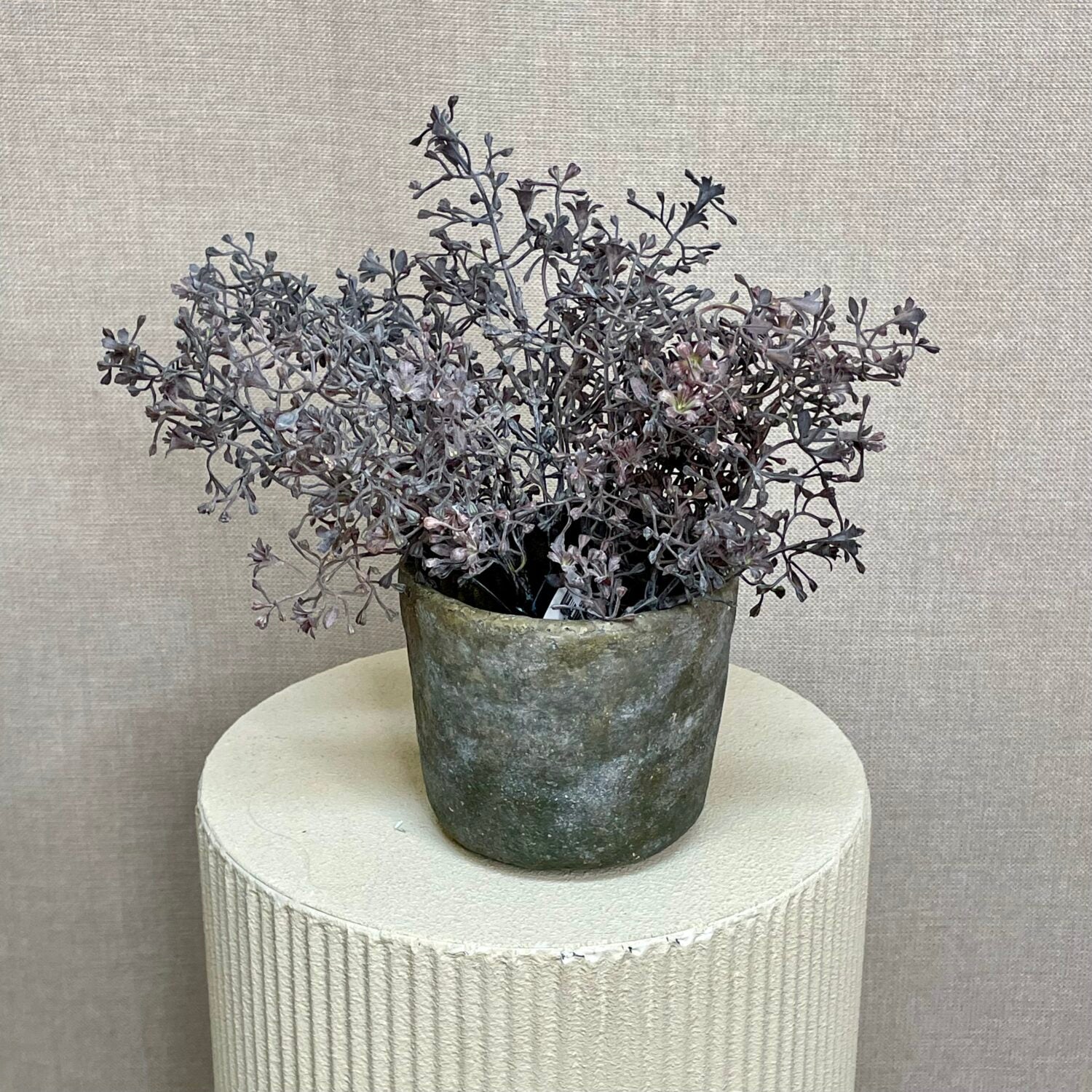Gypsophylla purple h 29 cm