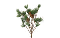 Fyr grene m. Kogler. 3 stk. i bdt. 50 cm