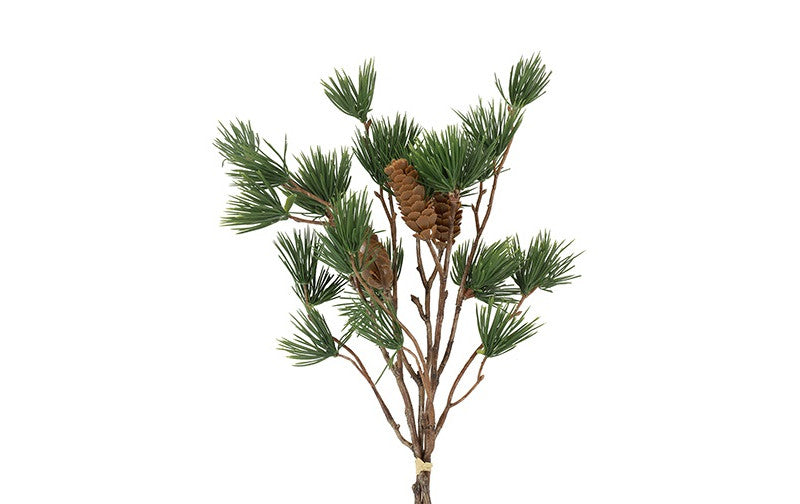 Fyr grene m. Kogler. 3 stk. i bdt. 50 cm