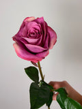 Deluxe rose pink