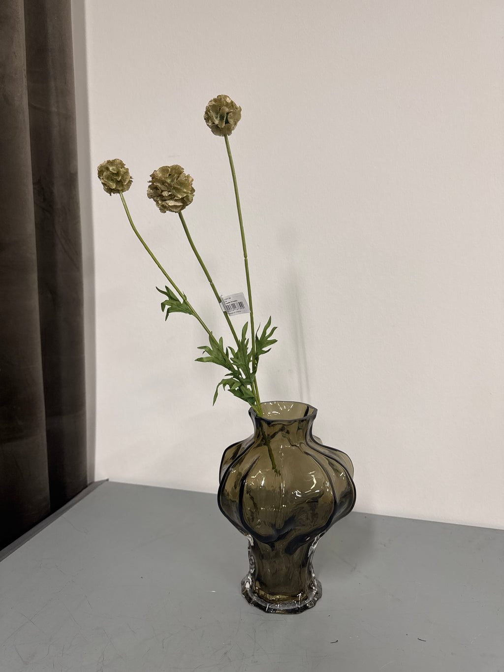 Scabiose frøkapsel