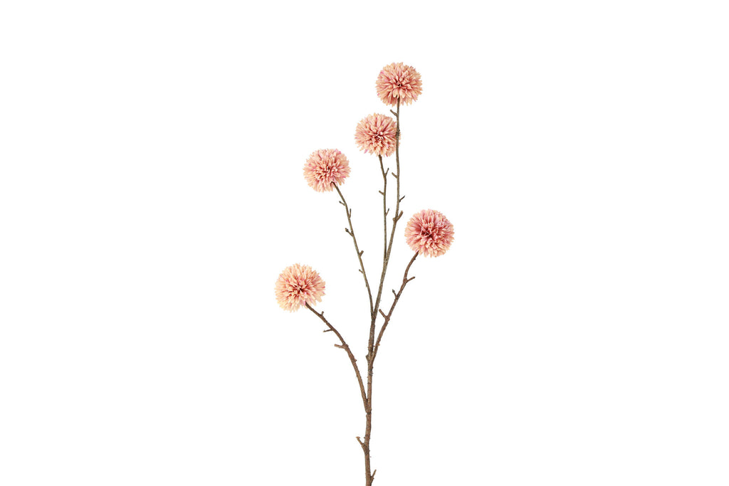 Chrysanthemum gren rosa h 99 cm