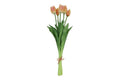 Tulipaner i bundt m/ 5 stk Peach h 41 cm