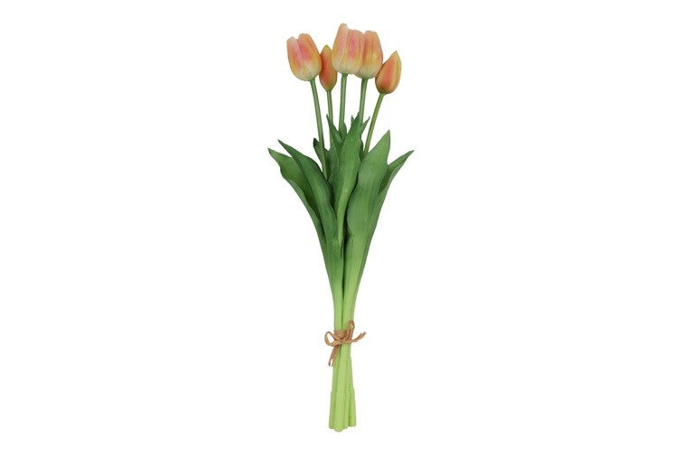 Tulipaner i bundt m/ 5 stk Peach h 41 cm