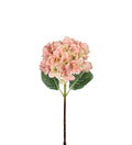 Hortensia lys rosa 48 cm