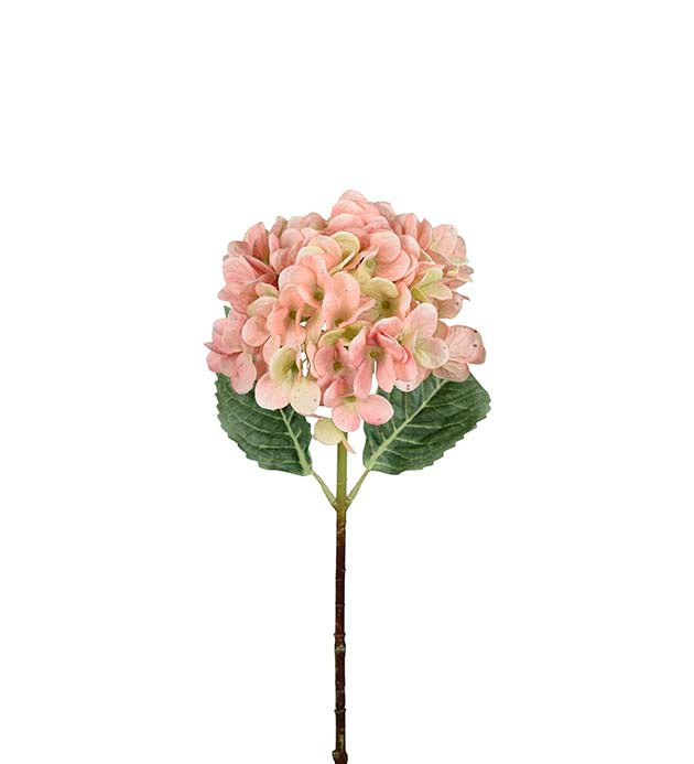 Hortensia lys rosa 48 cm