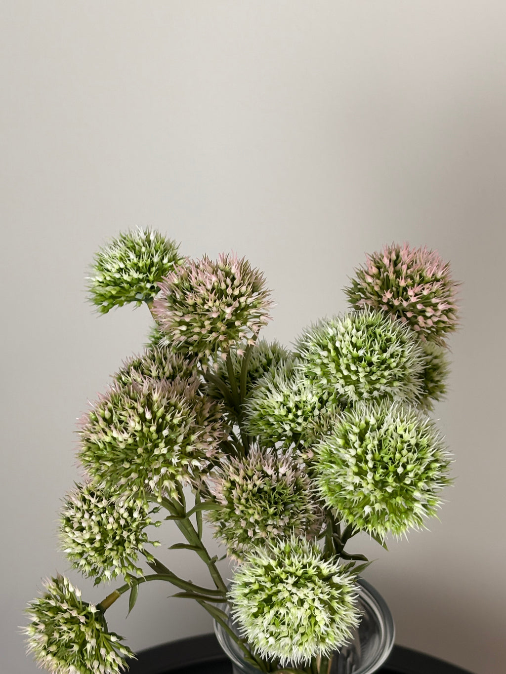 Allium lille lyserød