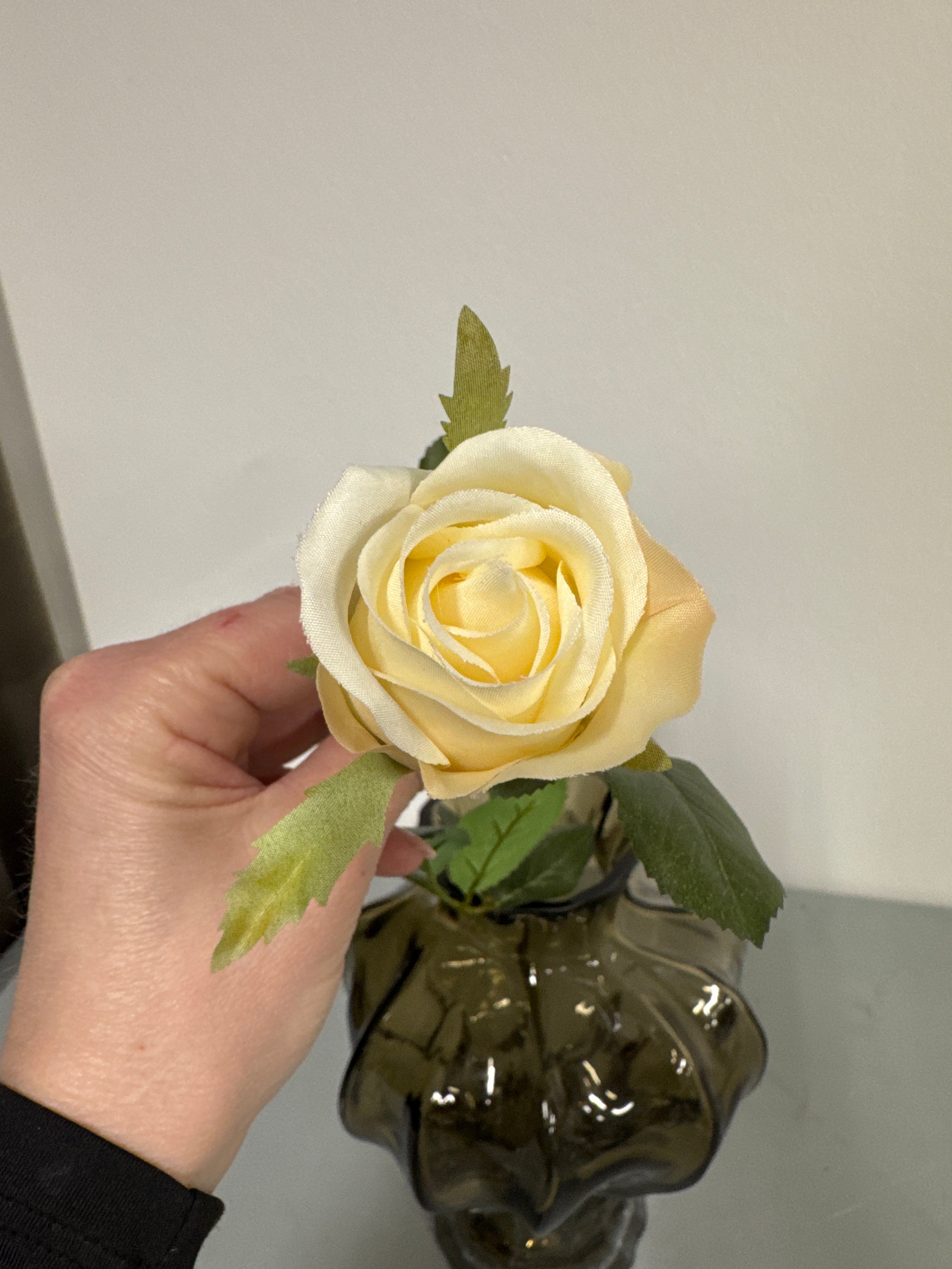 Rose. Cream farve