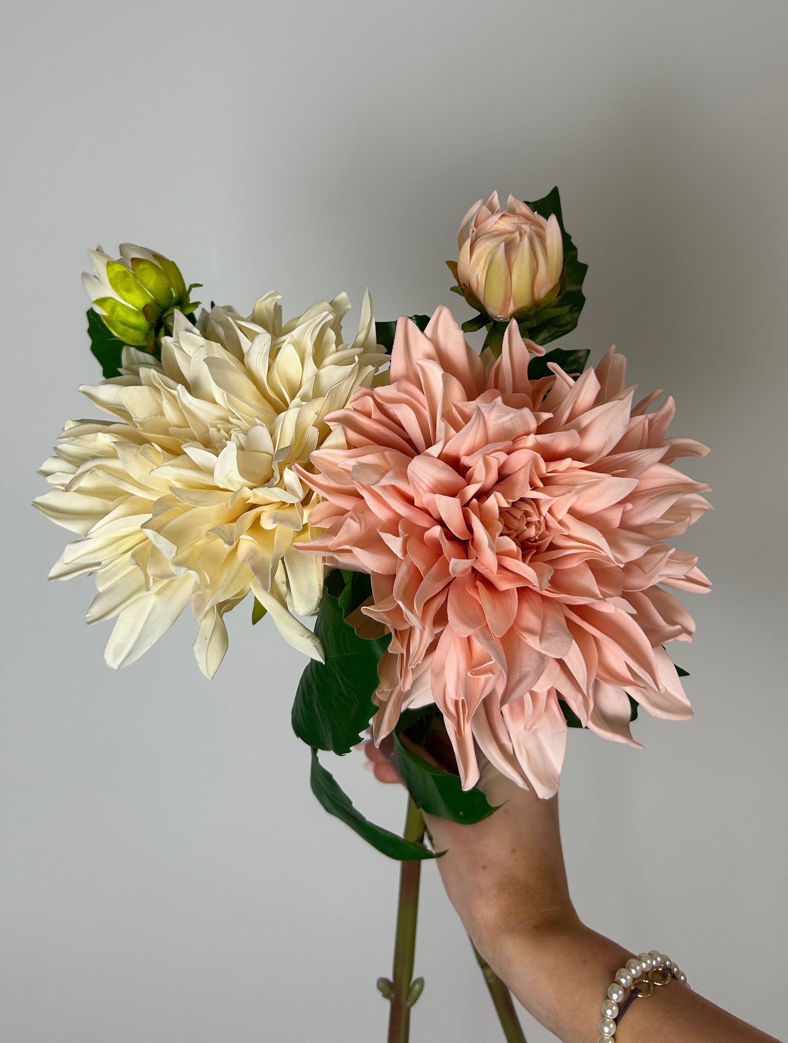 Dahlia “café au lait” creme