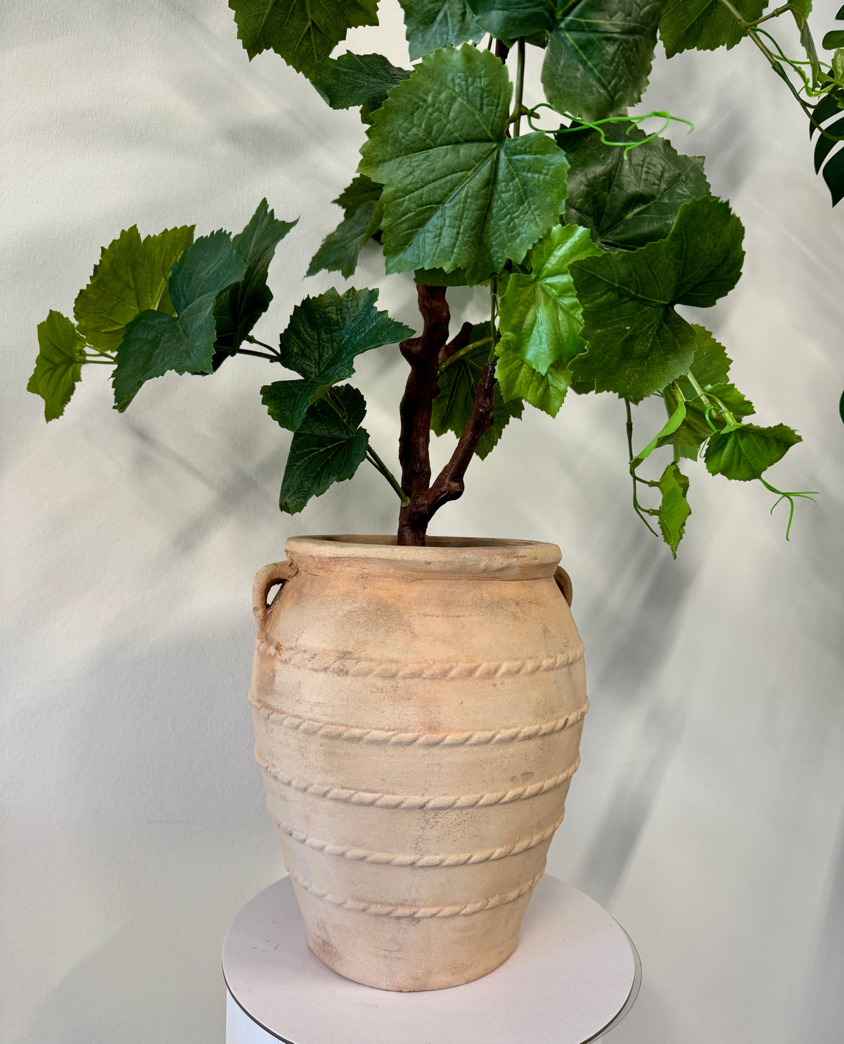 Vinstok plante 90 cm